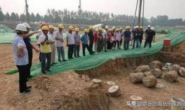 刁镇拆迁最新爆料,揭秘补偿方案与居民心声