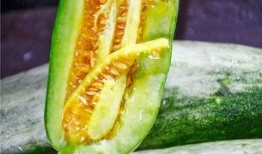 网红 吃瓜,揭秘娱乐圈幕后真相