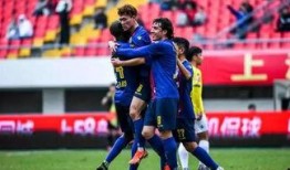 山东足球爆料事件视频,真相与争议交织的足球圈风云